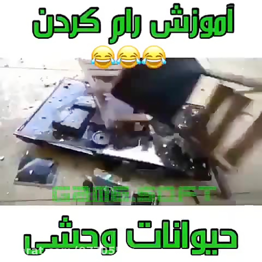 آموزش رام حیوانات