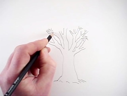 How to Draw a Tree and a Fores...