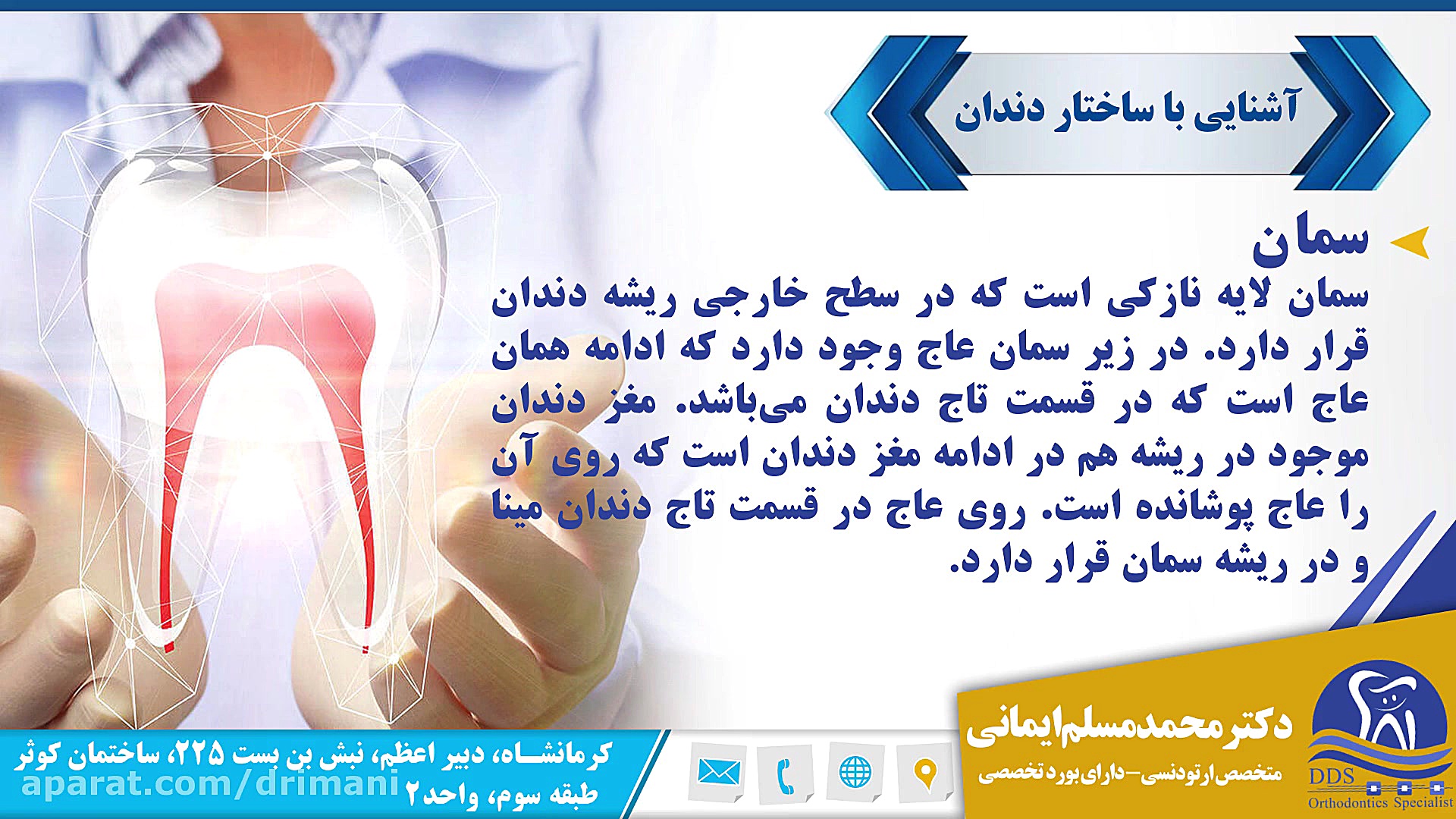 آشنایی با ساختار دندان دکتر محمد مسلم ایمانی - متخصص ارتودنسی در کرمانشاه