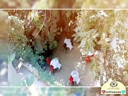 معماری و دکوراسیون داخلی