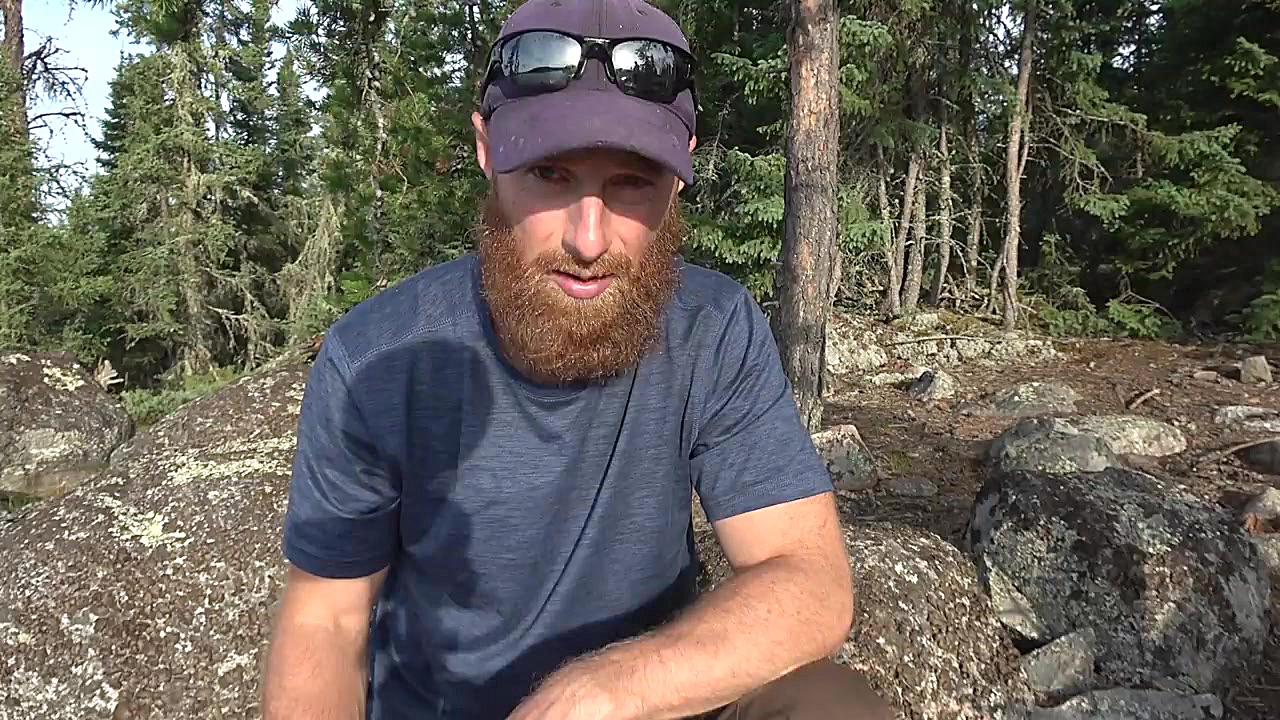 Fishing in DANGEROUS Forest ایمونولوژی محاسباتی
