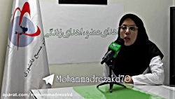 نازنین زهرا حموله؛ سفیر کوچک ا...