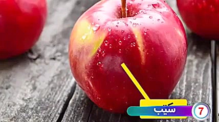 عملكرد كبد و محافظت از آن روکش دندان