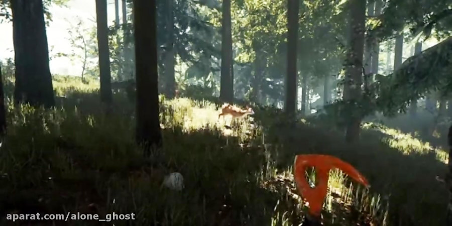THE FOREST FOR VR HEADSETS