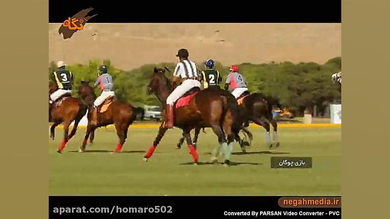 homaro502