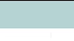 بررسی اندازه رفتار توده وار مو...