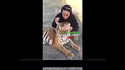 ویدیوی زیرخاکی باحال از نفیسه...