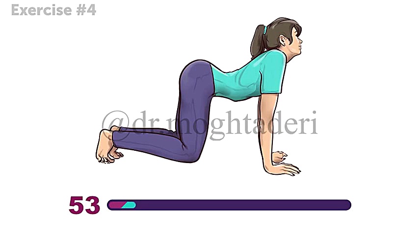 حرکت کششی برای کاهش کمر درد-تمرین شماره 4 دکتر علیرضا مقتدری | متخصص طب فیزیکی