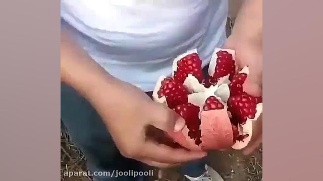 قاچ کردن انار به صورت حرفه ای (ژولی پولی) رتروگناتیا