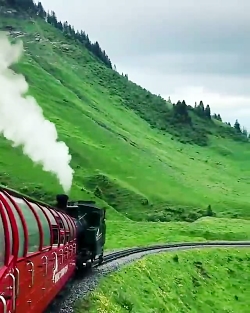طبیعت زیبا طبیعت زیبا