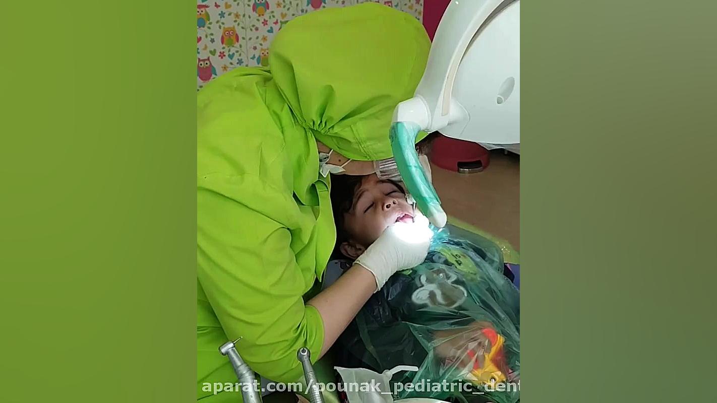 دکتر ایلناز صدرا متخصص دندانپزشکی کودکان پزشکی میکروRNA