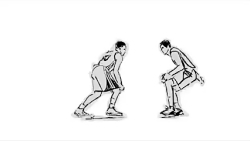 استفن كرى یك اسطوره