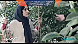قسمت دهم سریال ممنوعه قسمت دهم سریال ممنوعه