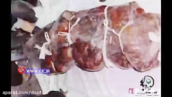 جنایات دیده نشده داعشی&zwnj;ها...