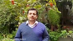علی اکبر رائفی پور_ پژوهشگر و مدرس دانشگاه
