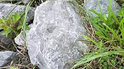 LG G3 vs Samsung Galaxy S5 Cam...