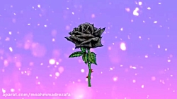 دانلود آهنگ عربی