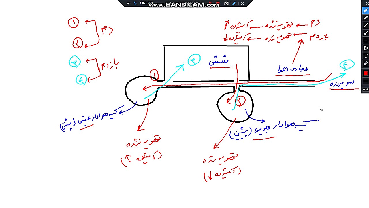 تدریس دستگاه تنفسی پرندگان با نکته های کنکوری / دکتر نوخاصی کلینیک مو