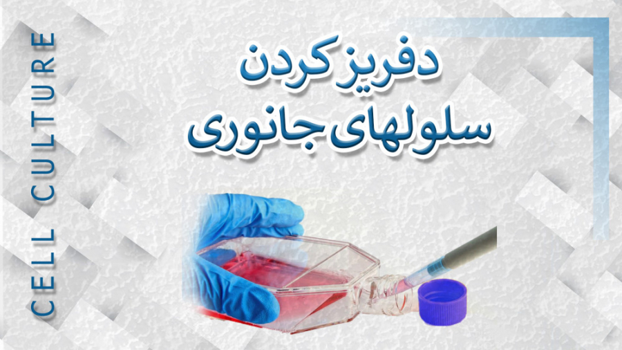 دیفریز کردن سلول های جانوری استریمر نق‌نقو