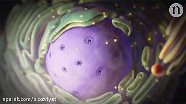 crispr cas 9 چاخانچی