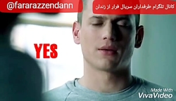 میکس مایکل اسکافیلد