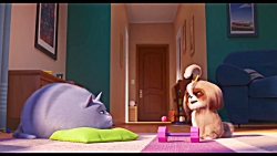 تریلر جدید انیمیشن The Secret Life Of Pets 2