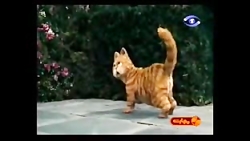 آموزش زبان انگلیسی دیالوگ درس...