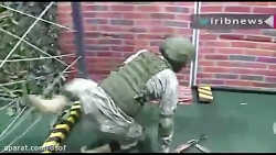 قدرتنمایی نظامیان ایرانی در مس...