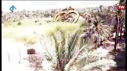 سریال مینو  قسمت ۲۴ Minoo Seri...