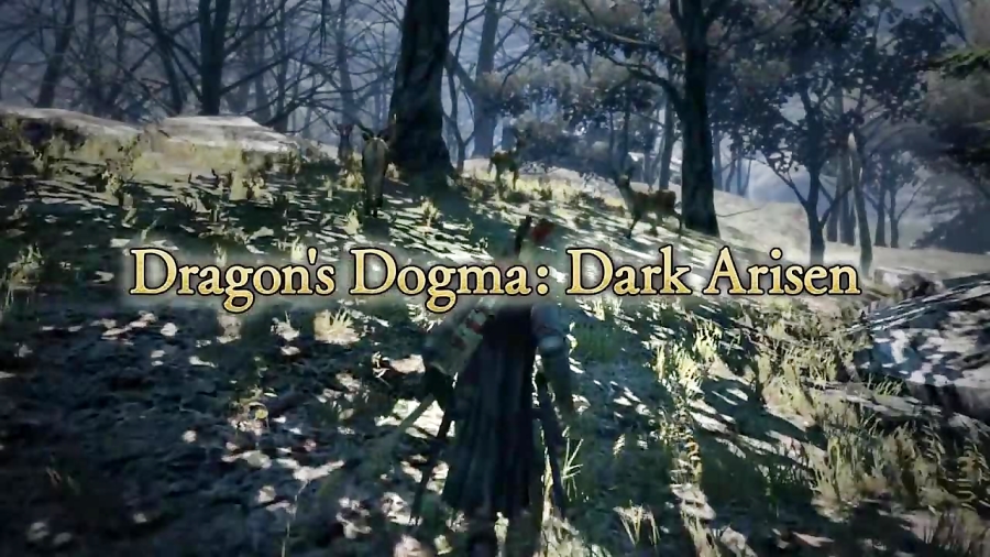 معرفی تریلر بازی Dragonrsquo;s Dogma: Dark Arisen برای Nintendo Switch