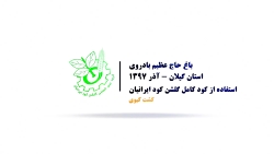 تاثیر مصرف گلشن کود ایرانیان د...