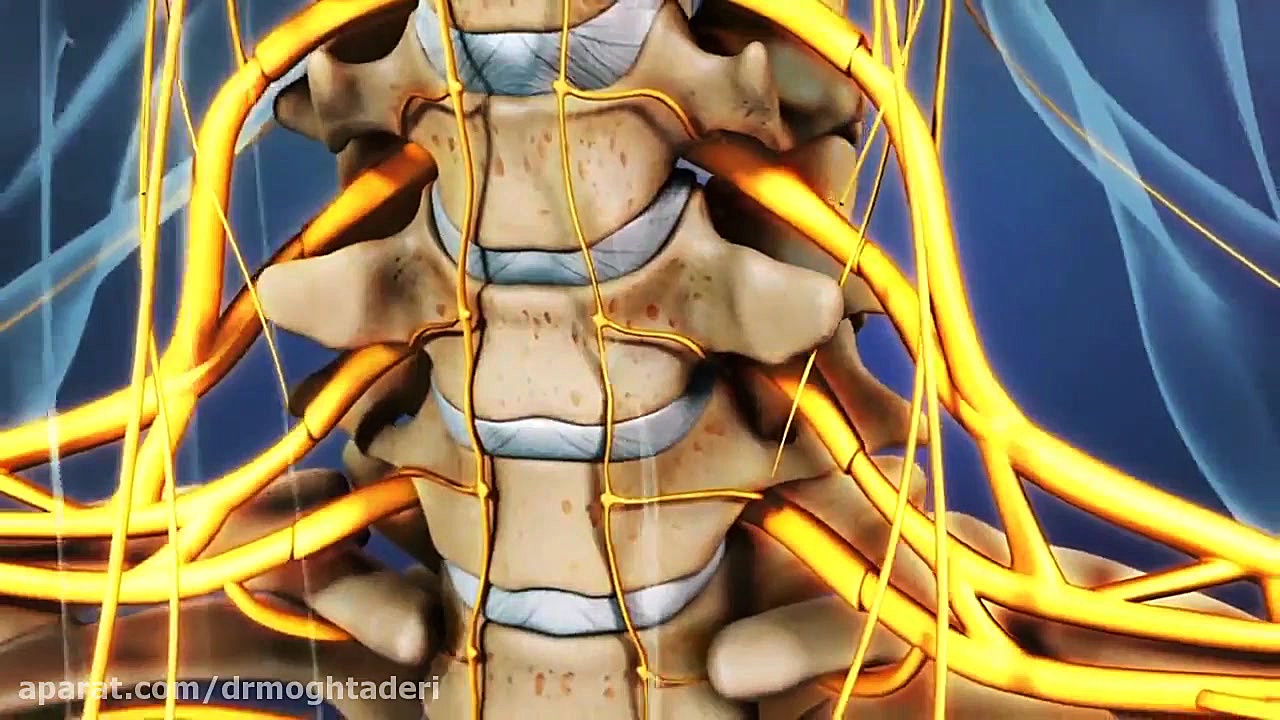 بررسی علائم دیسک گردن دکتر علیرضا مقتدری | متخصص طب فیزیکی