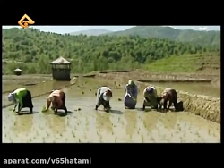 محلی مازنی-چند آهنگ بهمراه فیل...