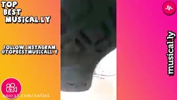 Musicali