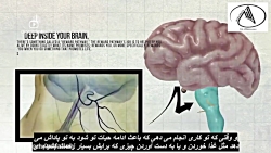 جنجالی !!! فیلم پورن (انچه که...