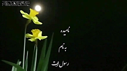کلیپ دعای عهد با صدای استاد فر...