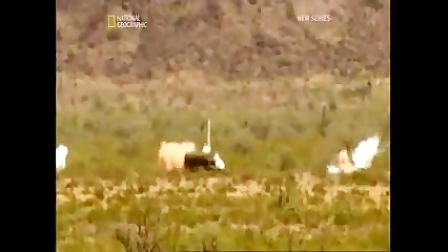 هواپیمای قدرتمند a-10