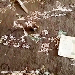 نحوه تست لانه خفاش