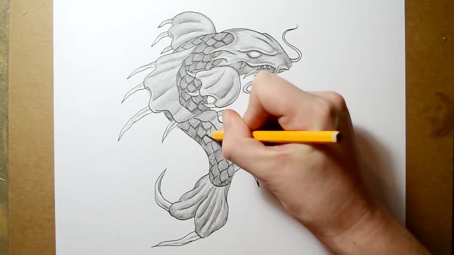 dragon koi fish drawing outline