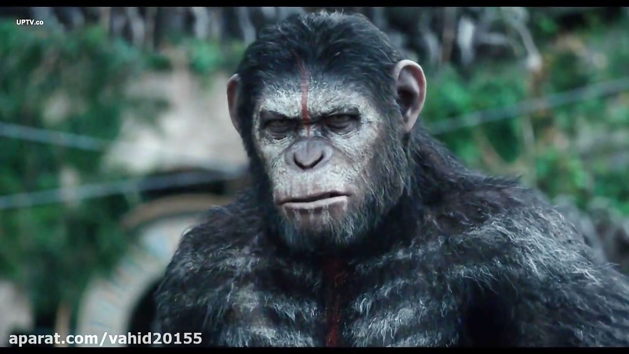 فیلم سینمایی طلوع سیاره میمون ها Dawn of Planet of the Apes 2014 دوبله فارسی زمان7757ثانیه