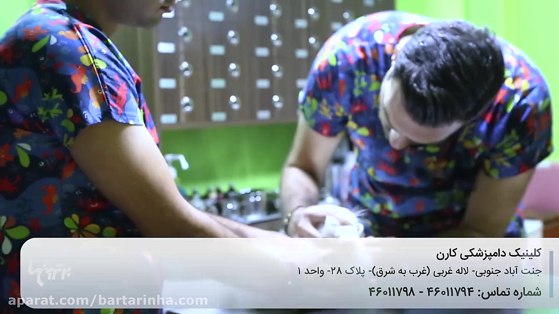 برترین ها - کلینیک دامپزشکی کارن دندان پیش