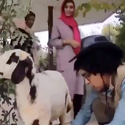 خنـده دار. خنـده دار.