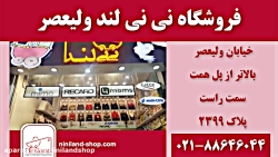 نی نی لند ولیعصر