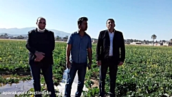 طرح پایلوت محصول ضد شوری آب و...