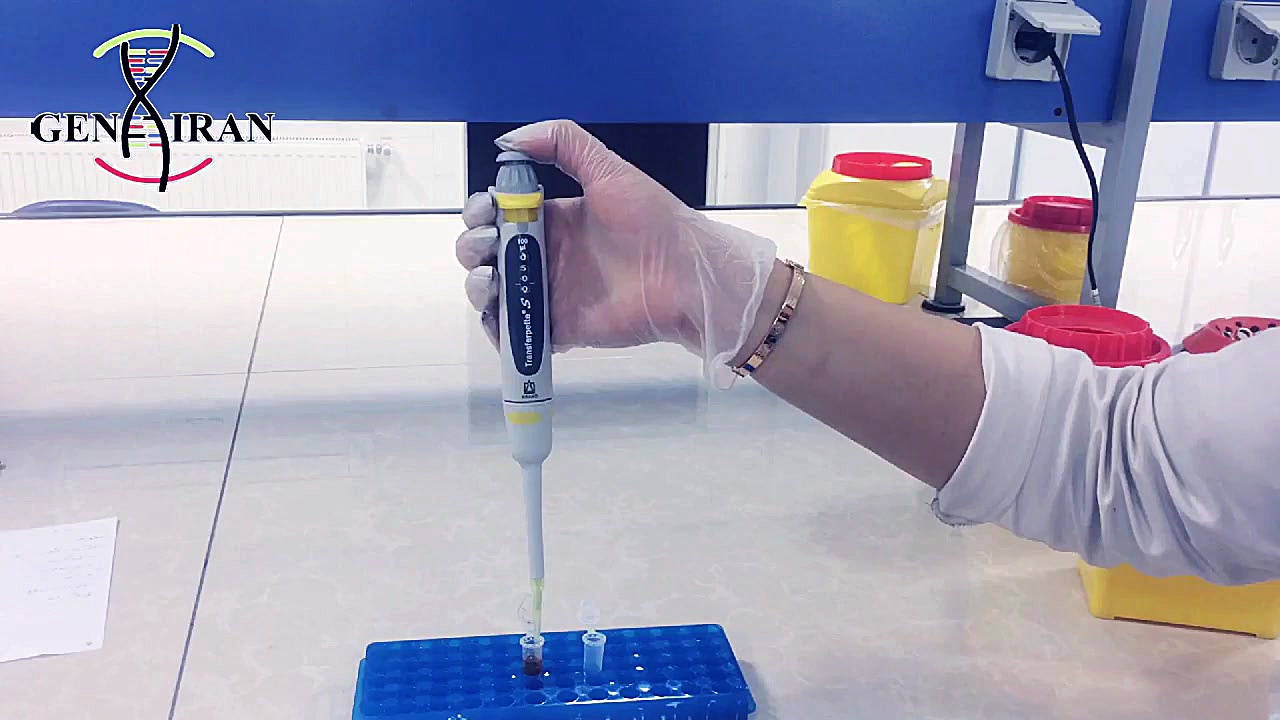 آموزش کار با سمپلر پای پتی