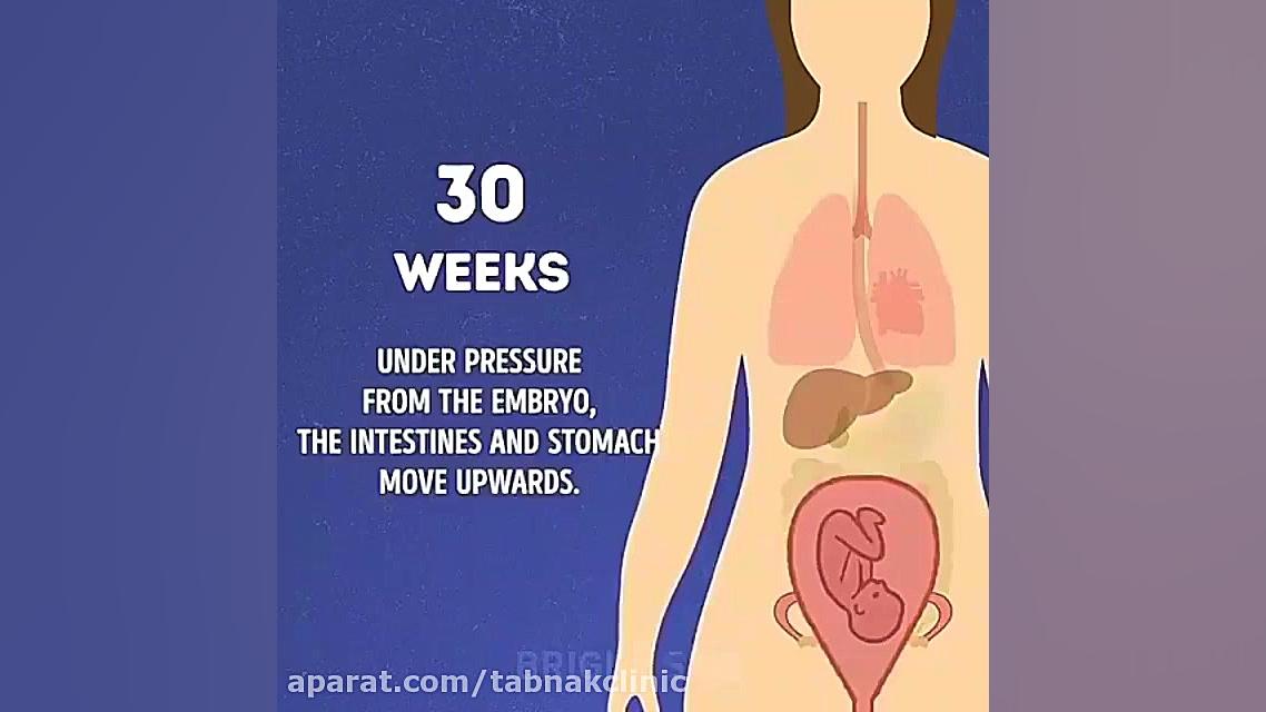 مراحل بارداری درمان سلولیت
