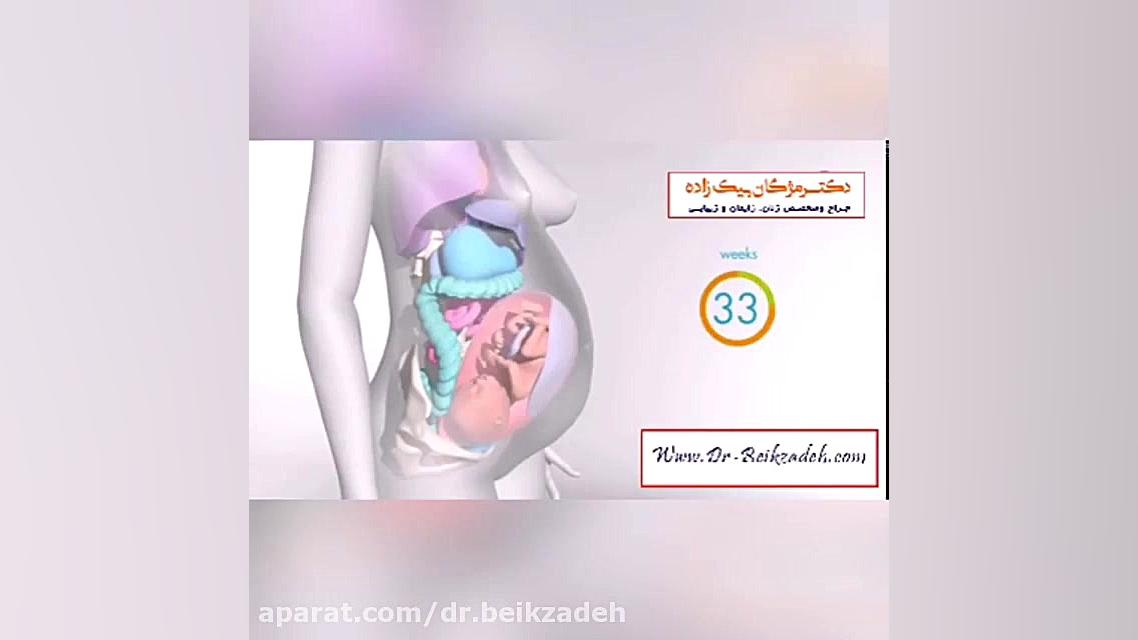 تغییر هورمون بدن در دوران بارداری دکتر مژگان بیک زاده ( جراح و متخصص زنان و زایمان)