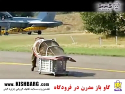 گاو بازی در فرودگاه - کلیه تفر...