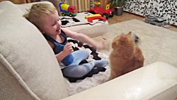 بازی گربه و پسر بچه شادی خنده...