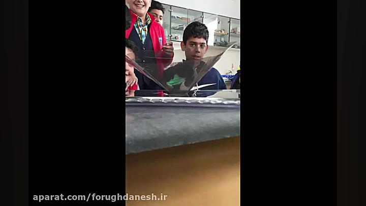 هولوگرام سه بعدی در آزمایشگاه علوم الکترود اپتوژنزی